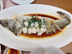 海鲈鱼-顺风汤馆·广府粤菜(江宸天街店)