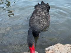 -鄂尔多斯野生动物园