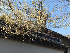 -无锡梅园公园