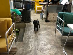 -唐咖精品咖啡(大理古城手冲店)