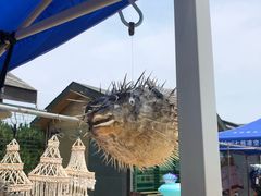 -青岛银沙滩