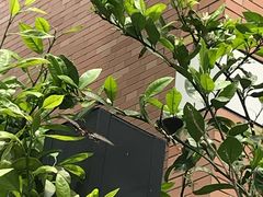 -红星电影世界上海张江绿地店