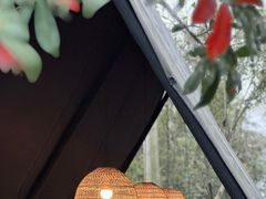 -MOJ coffee(瓯海泽雅水碓坑店)