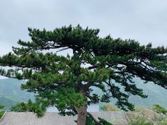 -妙峰山风景名胜区