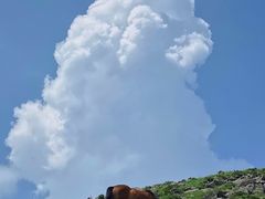 -灵山