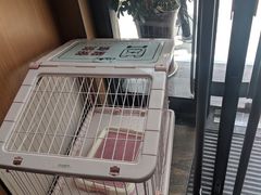 -小碗大胃(福久源新天地店)