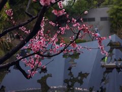 -静安雕塑公园