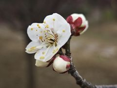 -味钱塘·钱塘渔鲜·地道江浙菜(宋城店)