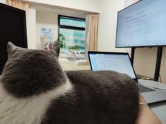 -猫音日语留学培训
