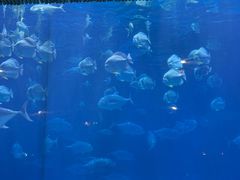 -华夏文旅西安度假区