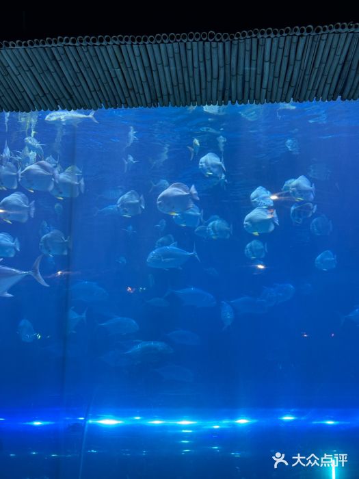 华夏文旅西安度假区图片