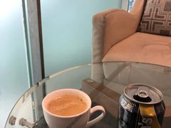 -虹桥机场国航贵宾室v8