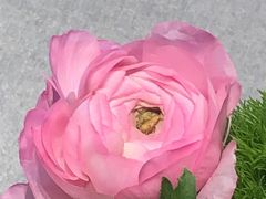 -南堂馆·新川菜(春熙路店)