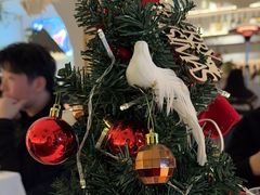 -春树下·树屋花房西餐厅(罍街AS1980店)