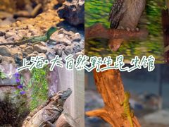 -上海大自然野生昆虫馆