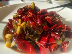 -开海·红岛海鲜虾水饺(石老人店)