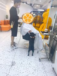 -FINE HAIR造型沙龙