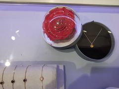 -ROSEONLY诺誓(广州K11店)