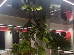 -八大碗·地道东北菜(东陵西路店)