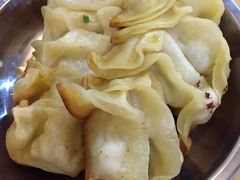 锅饺-向群锅饺(登高路店)