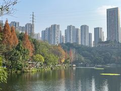 -重庆彩云湖湿地公园