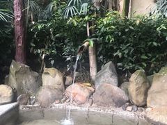-天赐温泉