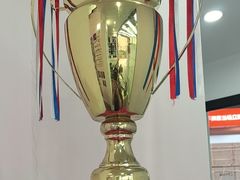 -天猫养车贴膜轻改·蓝电(优匹康桥东路店)