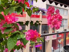 -川里谈·川味小馆(北京路店)