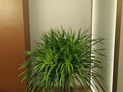 -赣悦轩·四季小馆