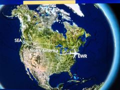 -纽瓦克自由国际机场