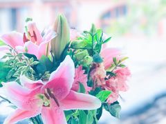 -蝶舍·MAISON PAPILLON