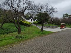 -上海海湾国家森林公园