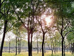 -东郊湿地公园