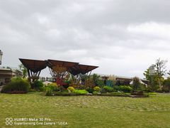 -上海长兴岛郊野公园