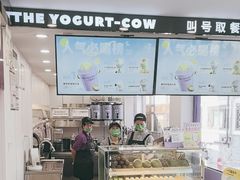 -一只酸奶牛(洪崖洞11楼店)