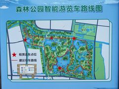 -昆山城市生态森林公园