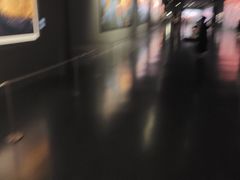 -罗红摄影艺术馆