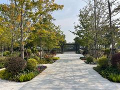 -春花秋色城市公园