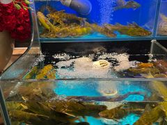 -苏格里岛自助烤肉海鲜火锅(成都金牛万达店)