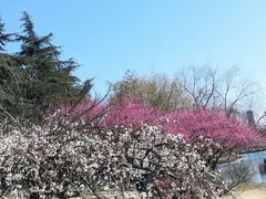 -白塘生态植物园