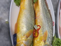 -添福来墨鱼饺子 · 海鲜东北菜(大连星海·黄浦路店)