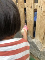 -萌宠亲子动物乐园(槐房万达店)