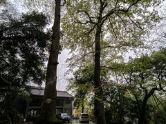 -岳麓山风景名胜区