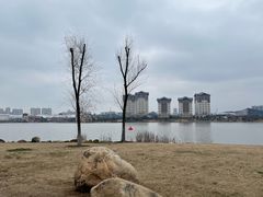 -九龙湖公园