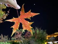 -大连金石滩绿发温泉假日酒店