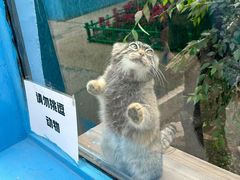 -青藏高原野生动物园