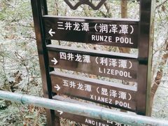 -宁波五龙潭景区