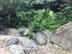 -白草畔自然风景区