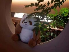 -轻语躺采·采耳·SPA(春熙路店)