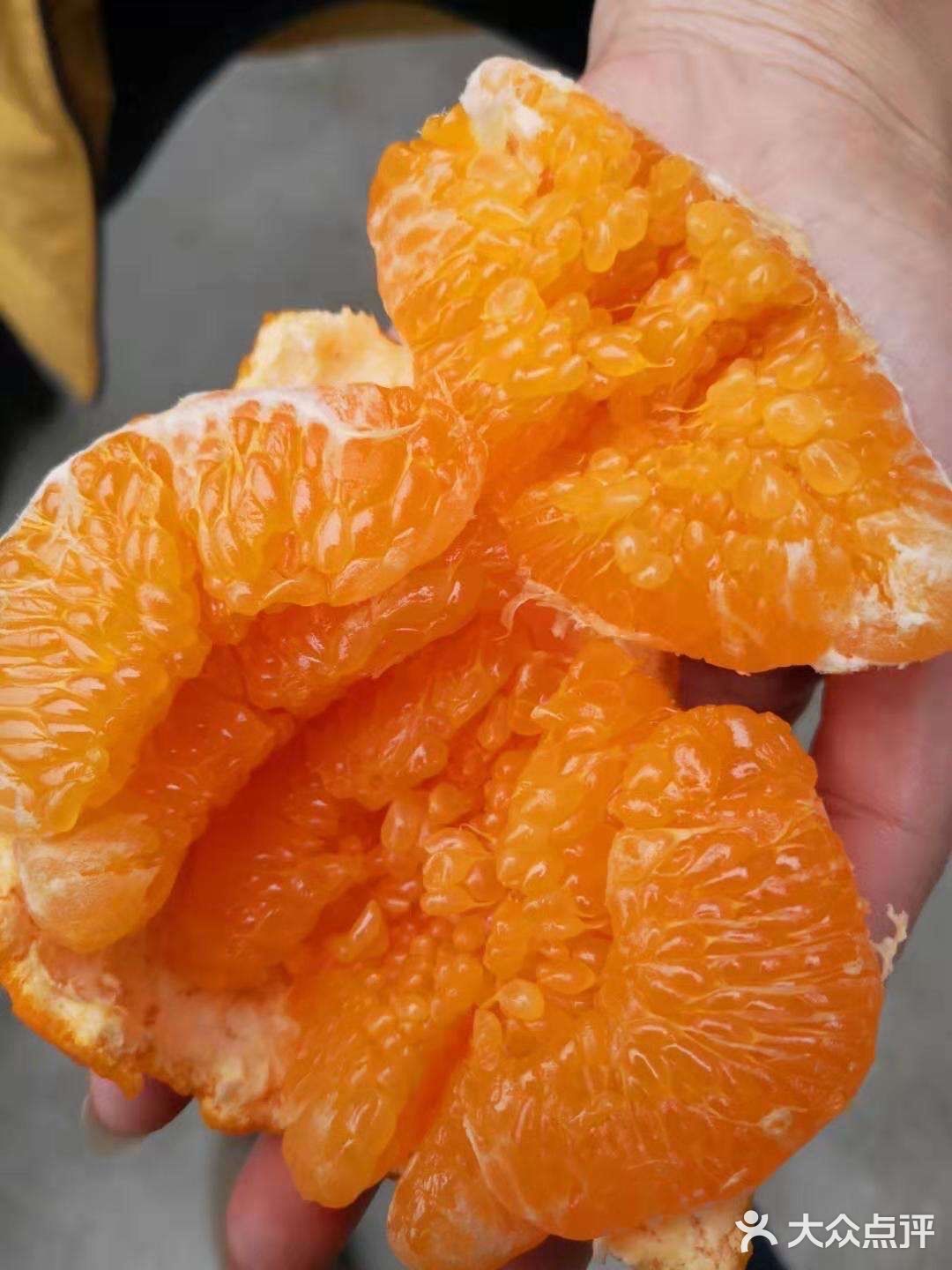 蒲江自家果园耙耙柑 10斤包邮 45-50元